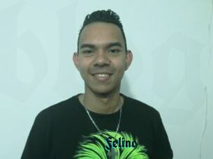Felino