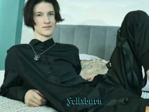 Felixburn