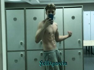 Fellixgarcia