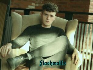 Flashwallis