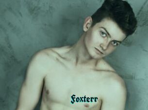 Foxterr