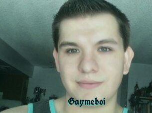 Gaymeboi