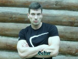 Gektor