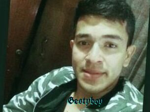 Gestyboy