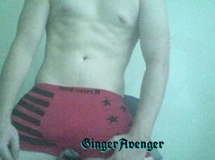 GingerAvenger