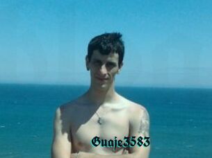 Guaje3583