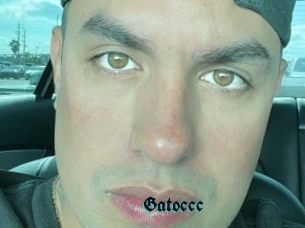 Gatoccc