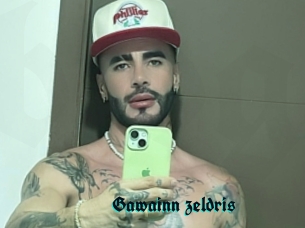 Gawainn_zeldris