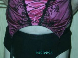 Geilowix