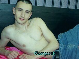 Georgecub