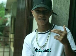 Gohanbb