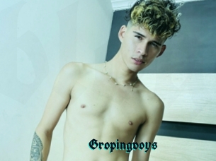 Gropingvoys