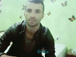 Gruia