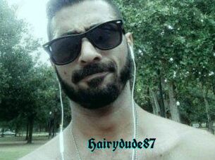 Hairydude87