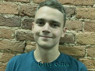 Harry_Gitten