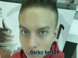 Harley_hard24