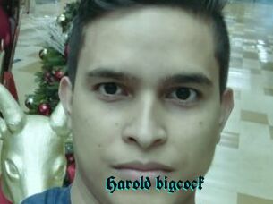 Harold_bigcock