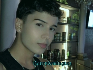 Harrydominguez