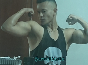 Harveytorres