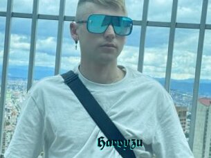 Harvyzu