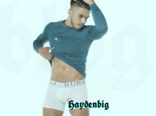 Haydenbig