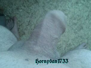 Hornydan1733