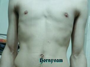 Hornysam