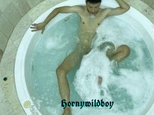 Hornywildboy