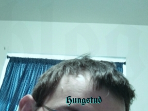 Hungstud
