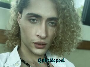 Hybridepool