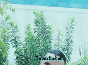 Javoxthebone