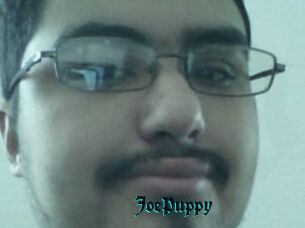 JoePuppy