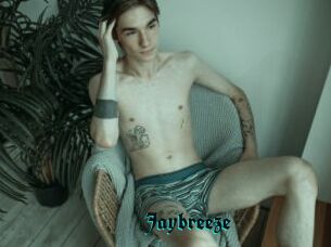 Jaybreeze