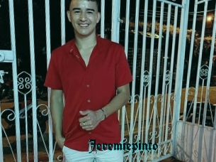 Jeremiepinto