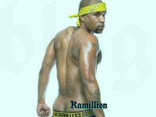 Kamillion
