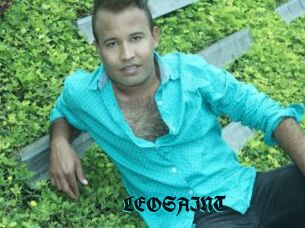 LEOSAINT