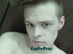 LapkinGray