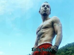 LittleAnder