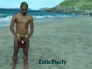 LittleBlacky