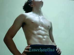 Lancehawkins