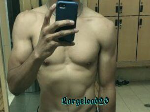 Largeload20