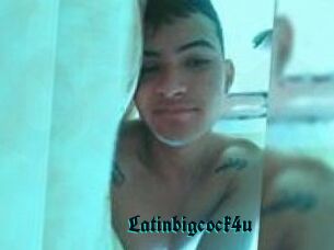 Latinbigcock4u