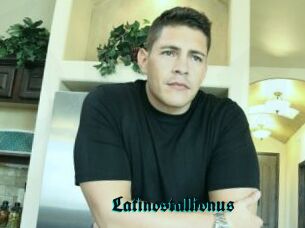 Latinostallionus