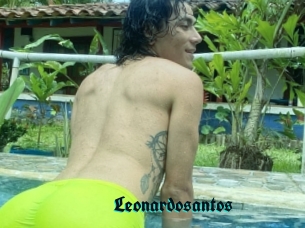 Leonardosantos