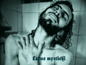 Lepus_mystical