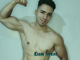 Liam_forest