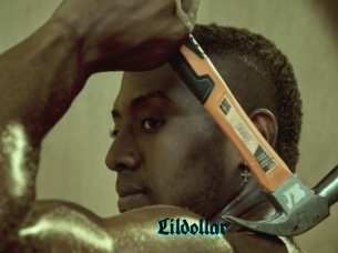 Lildollar