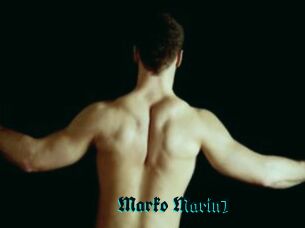 Marko_Marin1