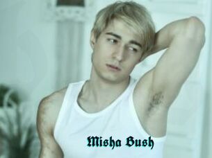 Misha_Bush