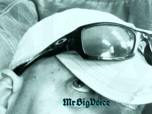 MrBigVoice